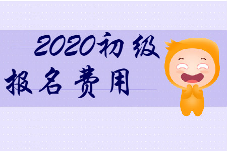 广东2020年初级会计报考费用多少？